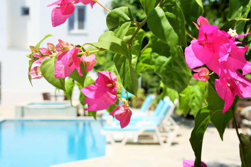 Parla Apart Hotel Çeşme Exteriör bild